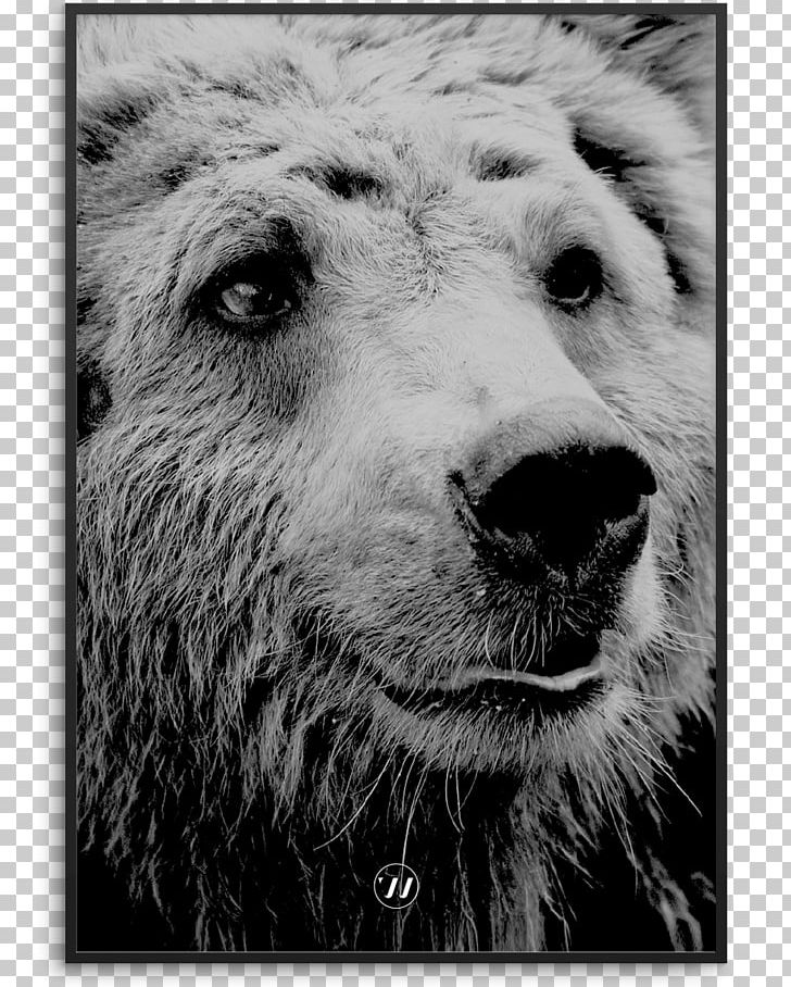 Poster Art Dog Breed Black And White PNG, Clipart, Animal, Art, Artist, Bear, Black And White Free PNG Download
