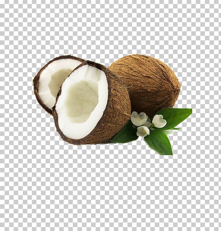 Coconut Oil Plant Milk Coconut Cream Fruit PNG, Clipart, Coconut, Coconut Cream, Coconut Husk, Coconut Oil, Fruit Free PNG Download