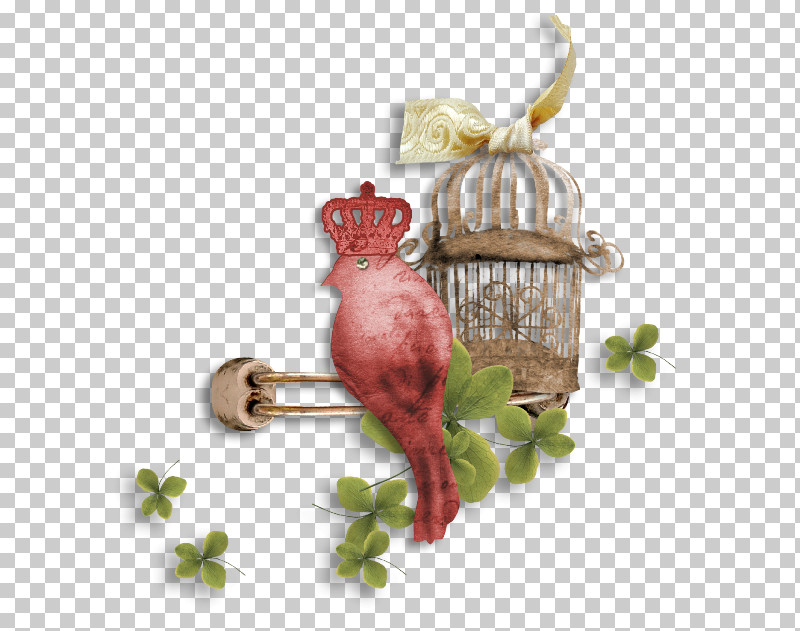 Cage Bird Plant Metal PNG, Clipart, Bird, Cage, Metal, Plant Free PNG Download