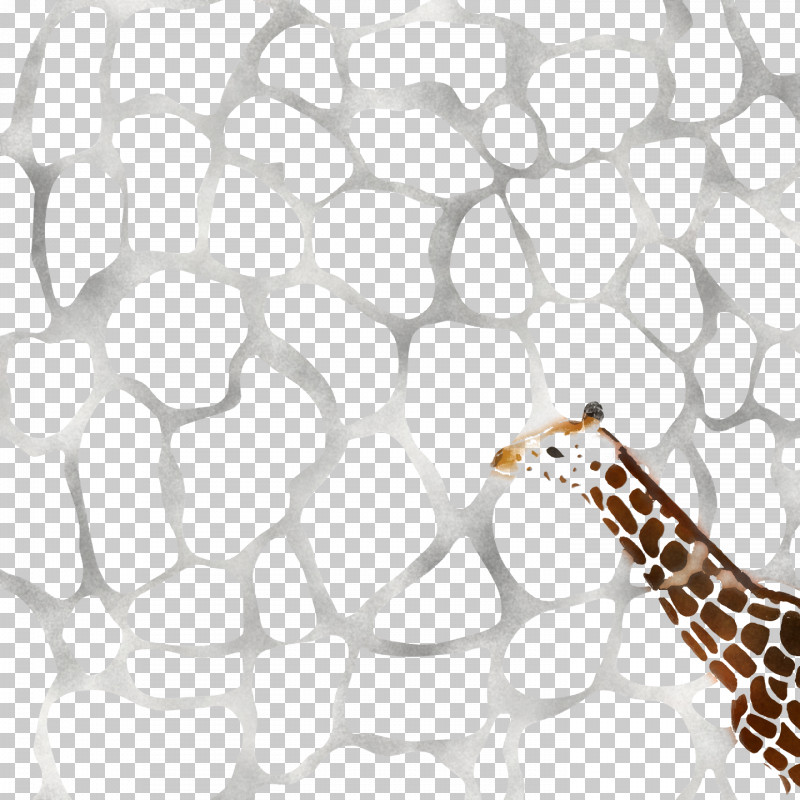 Giraffe Pattern Line Area Terrestrial Plant PNG, Clipart, Area, Biology, Giraffe, Line, Science Free PNG Download