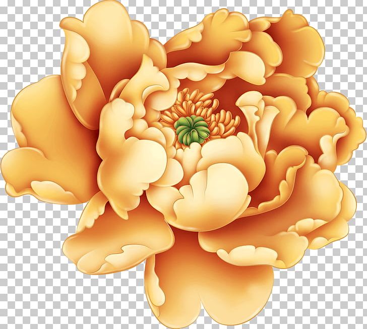 Phnom Penh Mudan District Moutan Peony PNG, Clipart, Computer Icons, Download, Encapsulated Postscript, Flower, Flowering Plant Free PNG Download