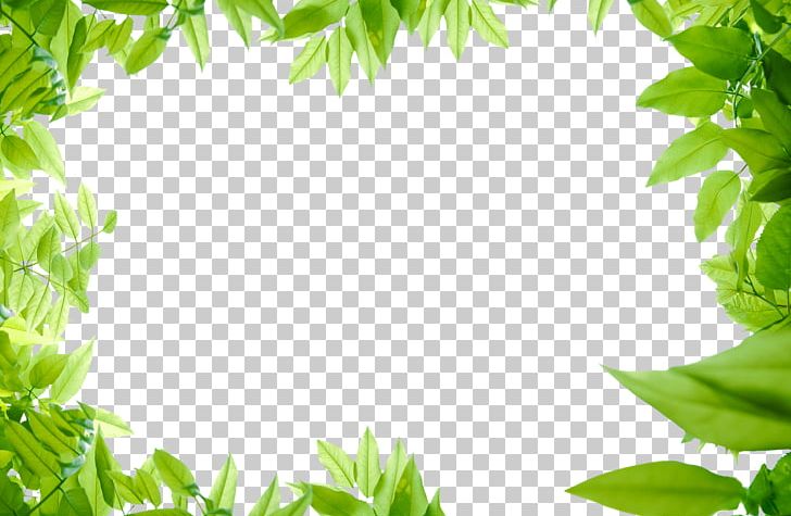 File Formats PNG, Clipart, Apng, Computer Wallpaper, Display Resolution, Encapsulated Postscript, File Formats Free PNG Download