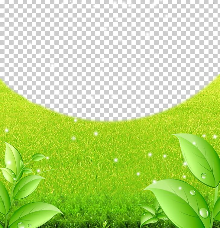 Green Lawn Fundal PNG, Clipart, Architecture, Computer Wallpaper, Environmental, Environmental Protection, Grass Free PNG Download