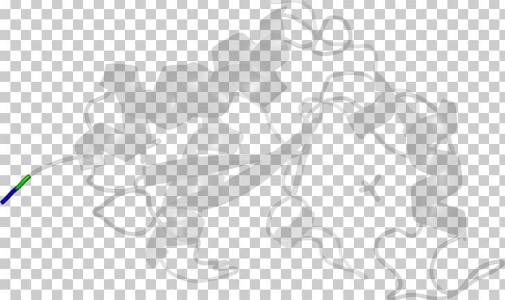 White Line Angle PNG, Clipart, Acetolactate Synthase, Angle, Art, Black And White, Line Free PNG Download