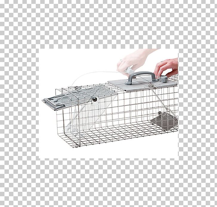 Cage Trapping Squirrel Fish Trap Mousetrap PNG, Clipart, Angle, Animal, Animals, Animal Trap, Automotive Exterior Free PNG Download