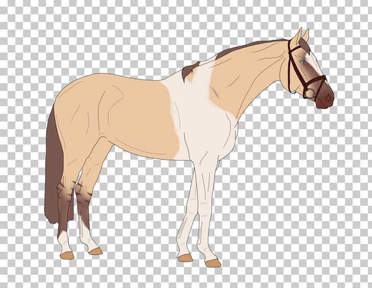 Foal Stallion Mustang Mare Rein PNG, Clipart, Bridle, Cartoon, Colt, Foal, Halter Free PNG Download