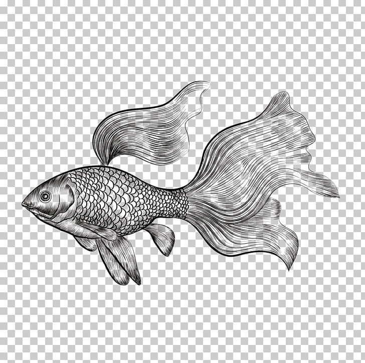 Goldfish Drawing Euclidean PNG, Clipart, Animals, Handpainted Flowers, Happy Birthday Vector Images, Monochrome, Monochrome Photography Free PNG Download