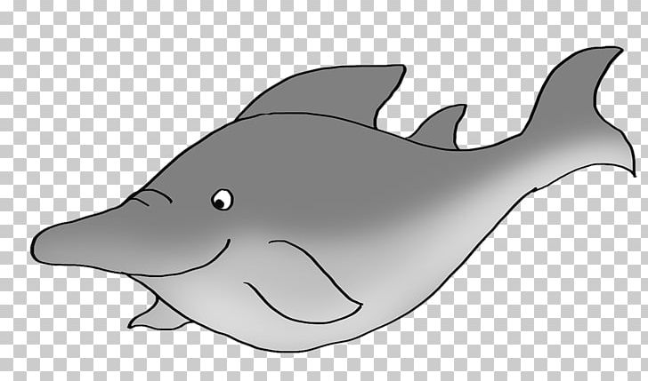 Tucuxi Drawing Cartoon Shark PNG, Clipart, Animal, Animals, Cartoon, Clownfish, Dolphin Free PNG Download