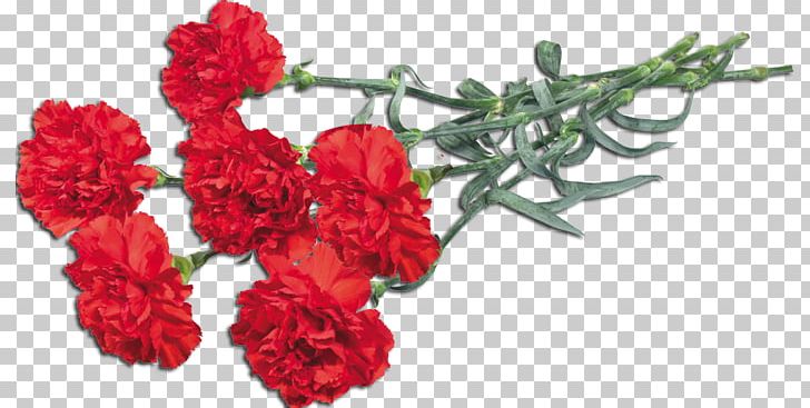 Carnation Ohio Flower Bouquet PNG, Clipart, Artificial Flower, Carnation, Cut Flowers, Floral Design, Floristry Free PNG Download