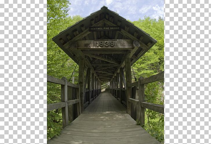 Franconia Notch Mount Flume The Flume Bridge PNG, Clipart, Bridge, Canyon, Covered Bridge, Flume, Flume Gorge Free PNG Download