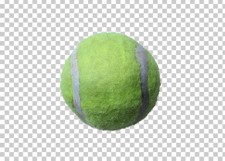 Sport Tennis Ball PNG, Clipart, Background Green, Ball, Circle, Copyright, Download Free PNG Download