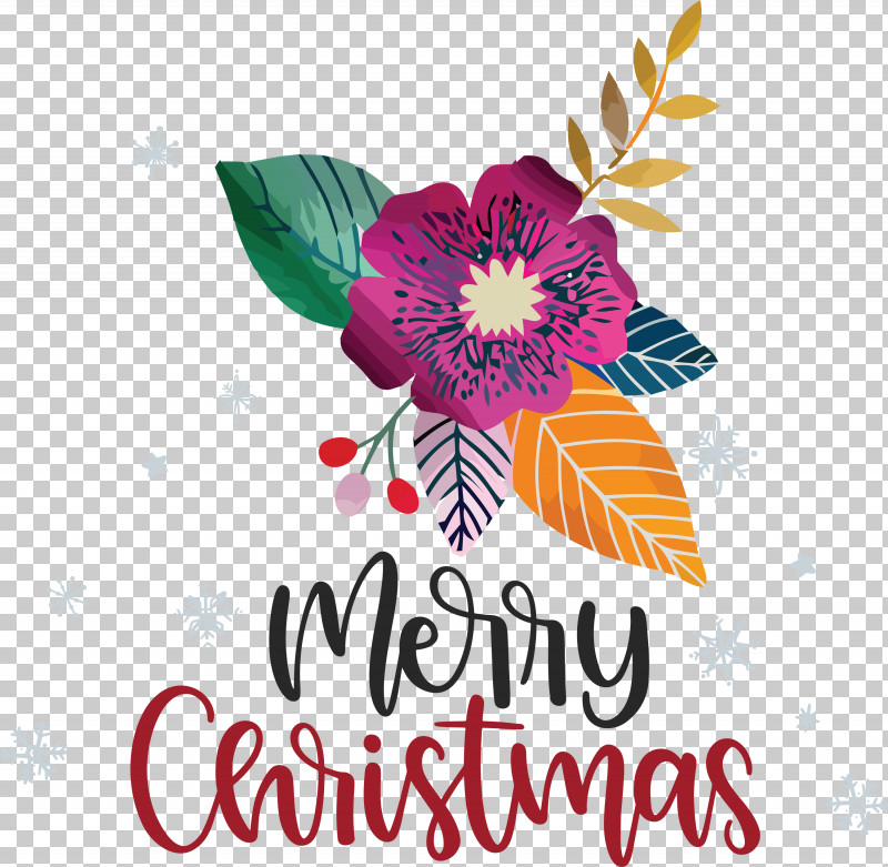 Merry Christmas PNG, Clipart, Biology, Cut Flowers, Flora, Floral Design, Flower Free PNG Download