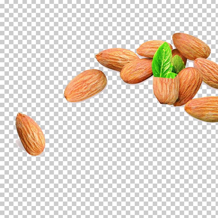 Macaroon Nut Apricot Kernel Almond Biscuit Vegetarian Cuisine PNG, Clipart, Almond Biscuit, Almond Milk, Almond Nut, Almond Nuts, Almonds Free PNG Download