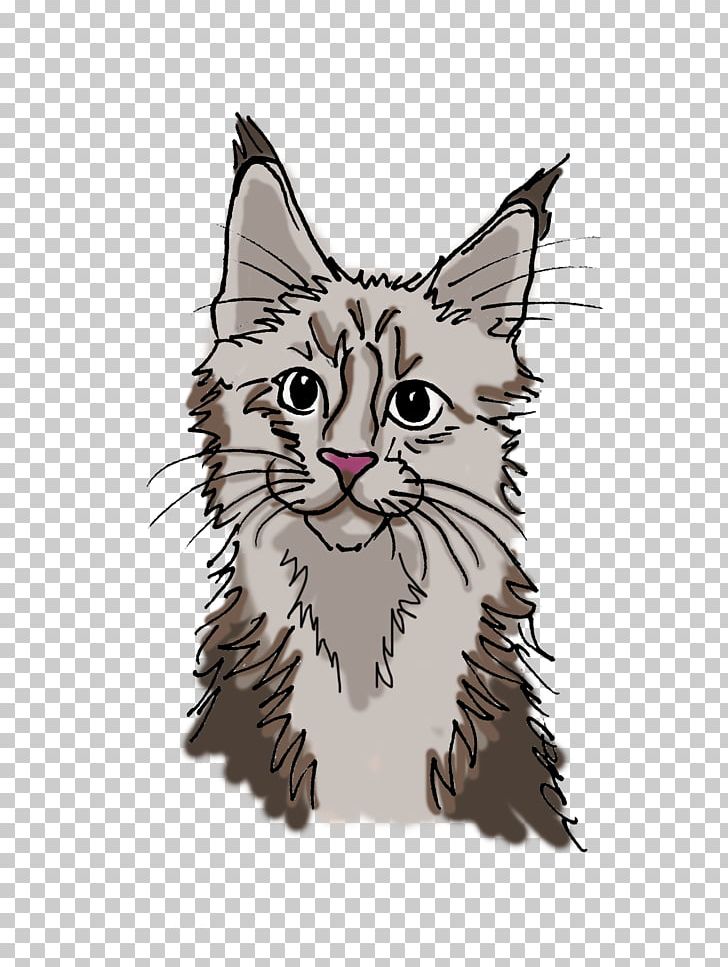 Whiskers Maine Coon Kitten Tabby Cat Domestic Short-haired Cat PNG, Clipart, Animals, Bengal, Birman, Carnivoran, Cat Free PNG Download