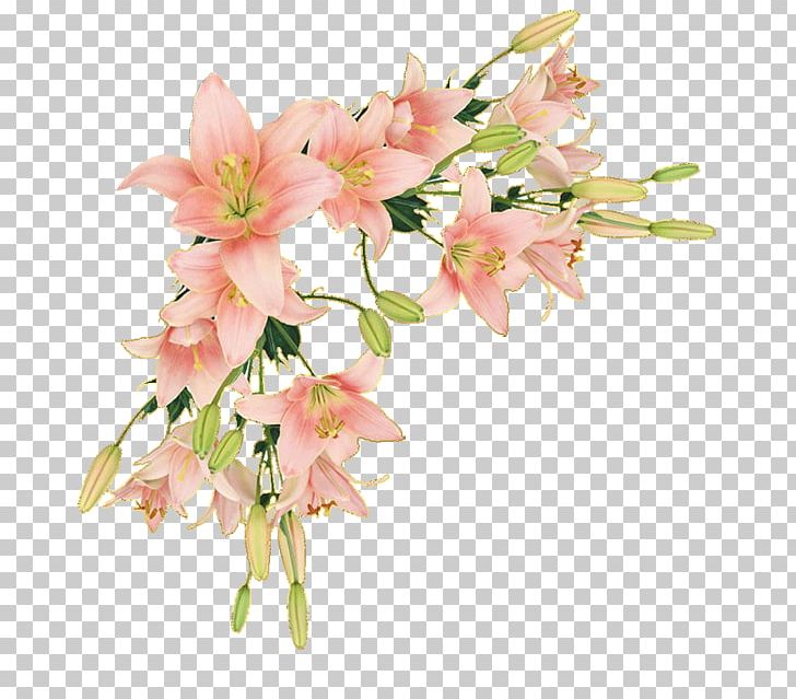 Border Flowers Borders And Frames Paper PNG, Clipart, Art, Artificial Flower, Arumlily, Blo, Border Flowers Free PNG Download