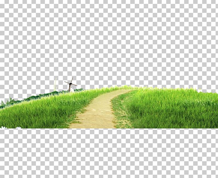 Green Windmill PNG, Clipart, Angle, Background Green, Beauty, Designer, Euclidean Vector Free PNG Download