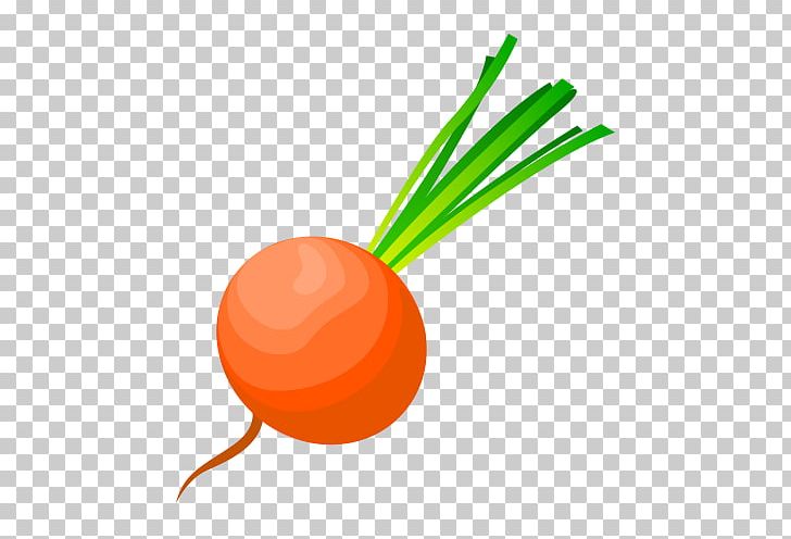 Radish Euclidean Cdr Shape PNG, Clipart, Cdr, Encapsulated Postscript, Food, Fruit, Fruits And Vegetables Free PNG Download