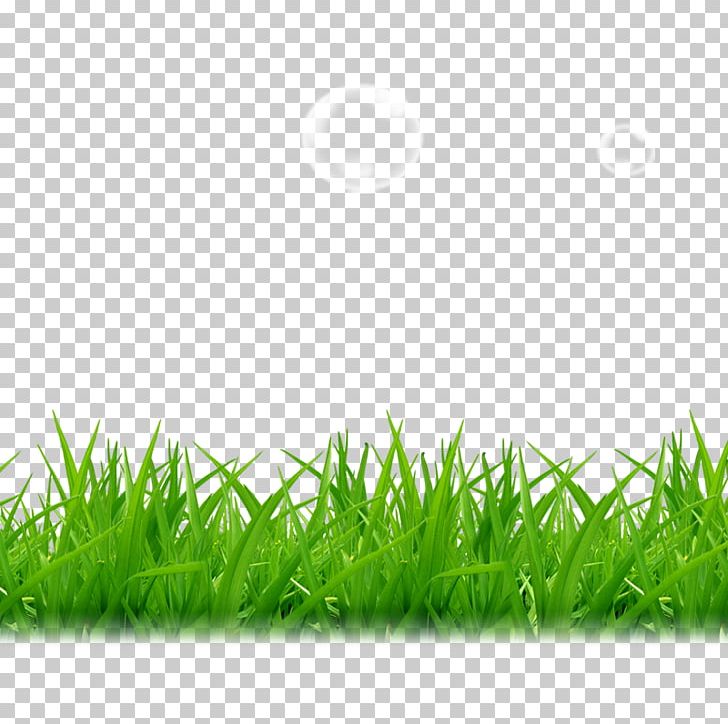 Tea A PNG, Clipart, Artificial Grass, Artificial Turf, Cartoon Grass, Clips, Computer Wallpaper Free PNG Download