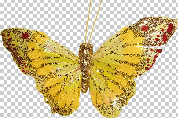 Colias Monarch Butterfly Moth Nymphalidae PNG, Clipart, Addition, Arthropod, Bella, Blue Butterfly, Brush Footed Butterfly Free PNG Download