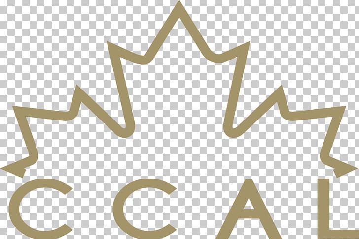 Flag Of Canada Maple Leaf PNG, Clipart, Angle, Area, Brand, Canada, Coloring Book Free PNG Download