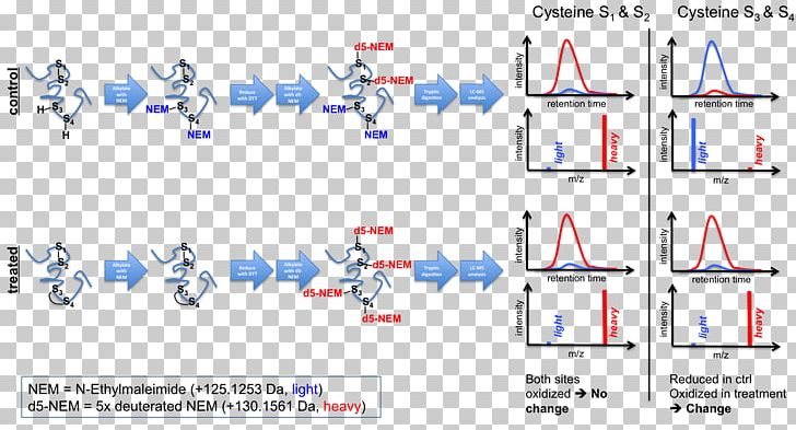 Line Technology Point PNG, Clipart, Angle, Area, Art, Diagram, Glycosylation Free PNG Download