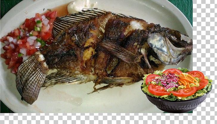 Papaloapan Region Pescado Frito Ikan Bakar Food Tlayuda PNG, Clipart, Animals, Animal Source Foods, Asian Food, Broth, Cuisine Free PNG Download