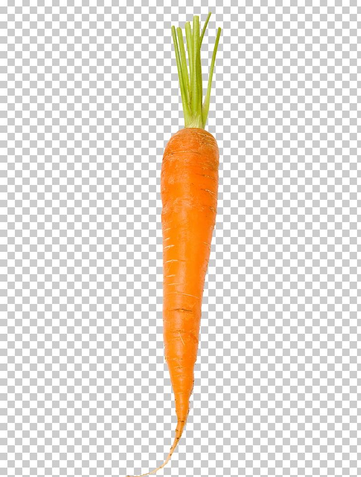 Baby Carrot White PNG, Clipart, Baby Carrot, Bunch Of Carrots, Carrot, Carrot Cartoon, Carrot Juice Free PNG Download