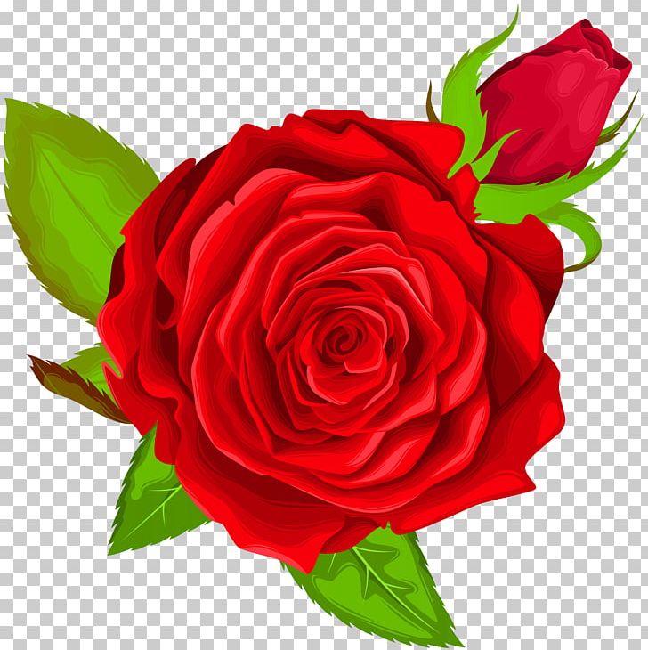 Best Roses Art PNG, Clipart, Art, Best Roses, Blog, China Rose, Cut Flowers Free PNG Download