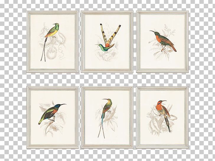 Decorative Arts Graphic Arts Graphics Frames PNG, Clipart, Art, Beak, Bird, Decorative Arts, Fauna Free PNG Download