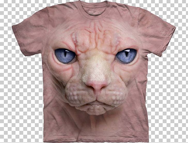 T-shirt Cat Kitten Hoodie PNG, Clipart, Animal, Bear, Carnivoran, Cat, Cat Like Mammal Free PNG Download