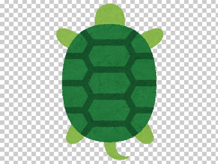 Tortoise PNG, Clipart, Art, Grass, Green, Kame, Plant Free PNG Download