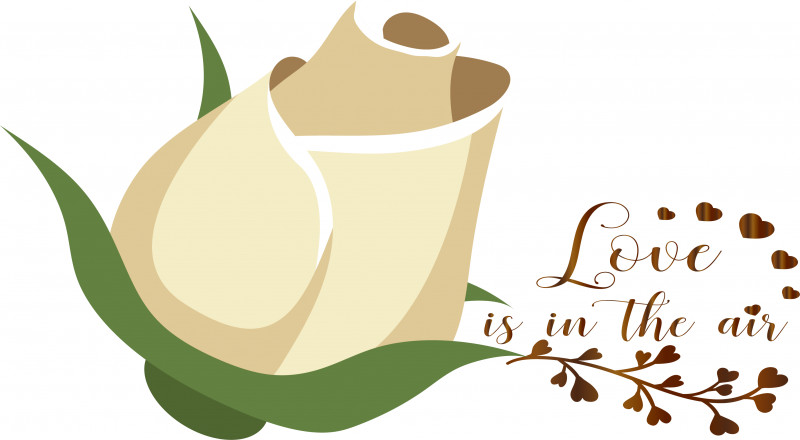 Coffee Cup PNG, Clipart, Coffee, Coffee Cup, Commodity, Cup, Flora Free PNG Download
