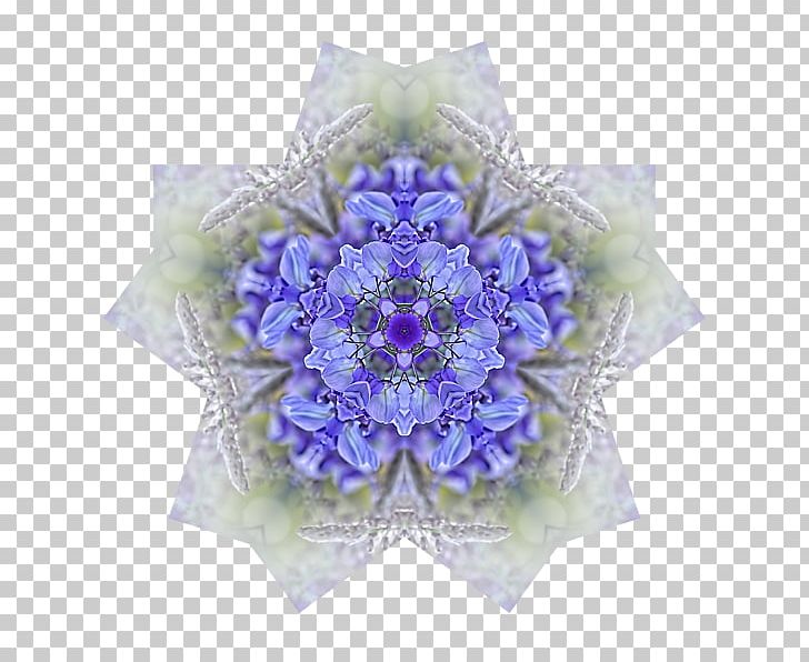Blue Flower Lavender Lilac Purple PNG, Clipart, Blue, Cobalt, Cobalt Blue, Cut Flowers, Flower Free PNG Download