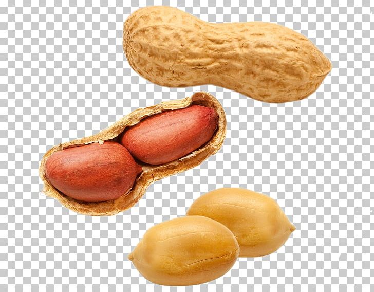 Peanut Butter And Jelly Sandwich Peanut Oil PNG, Clipart, Almond, Arachis, Background, Bean, Carrier Oil Free PNG Download