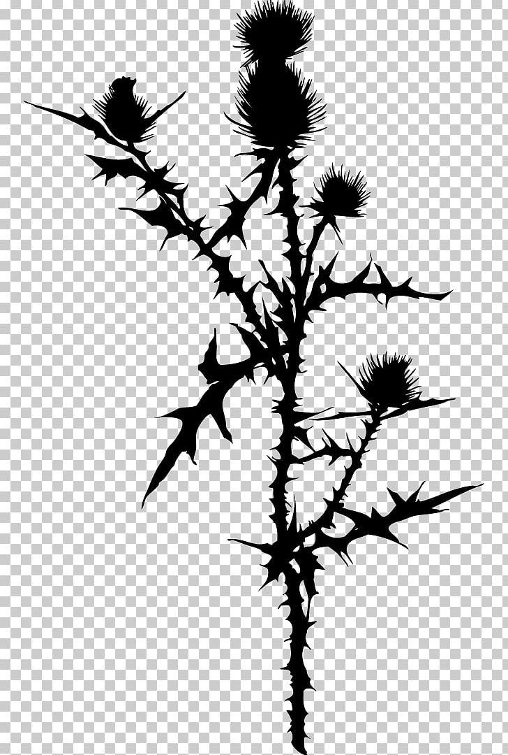 Plant Flower PNG, Clipart, Art, Black And White, Branch, Drawing, Flora Free PNG Download