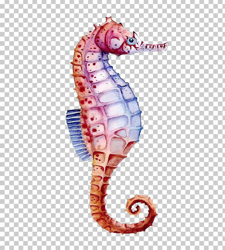 Seahorse Watercolor Painting Drawing PNG, Clipart, Animals, Art, Blue, Cartoon, Colorful Background Free PNG Download