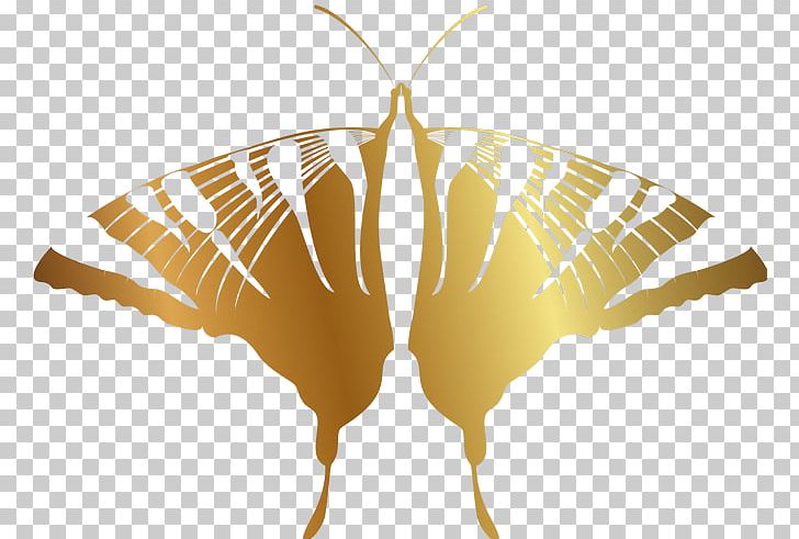 Window Sticker Plate Glass Foil Room PNG, Clipart, Antechamber, Arthropod, Bathroom, Bedroom, Brush Footed Butterfly Free PNG Download