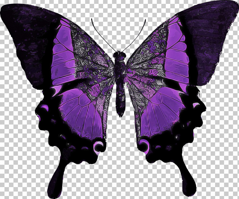 Moths And Butterflies Butterfly Insect Purple Pollinator PNG, Clipart, Butterfly, Insect, Moths And Butterflies, Papilio, Pollinator Free PNG Download