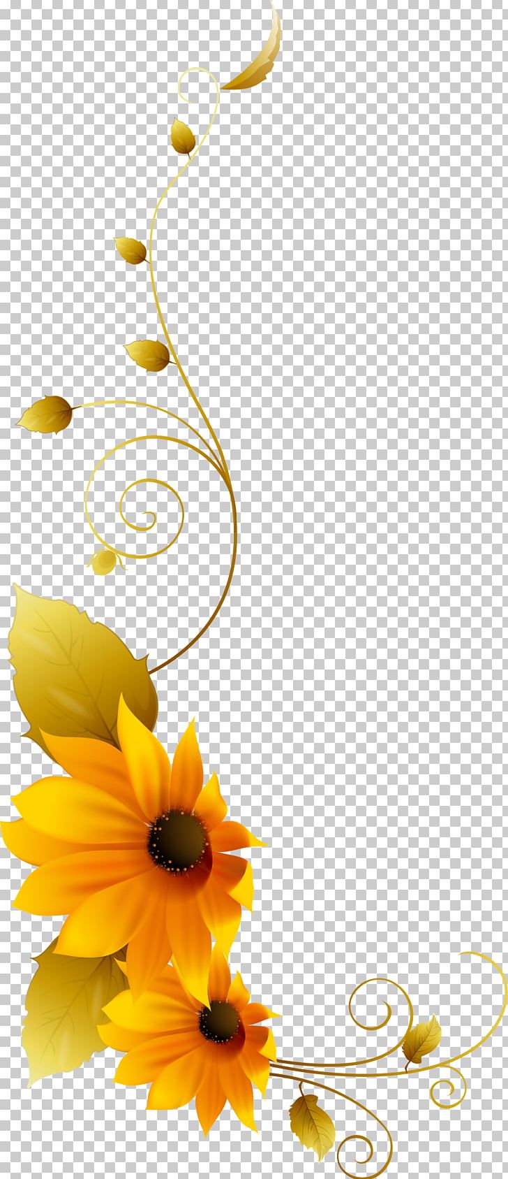 Chrysanthemum PNG, Clipart, Computer Wallpaper, Cut Flowers, Daisy Family, Daisy Vector, Desktop Wallpaper Free PNG Download