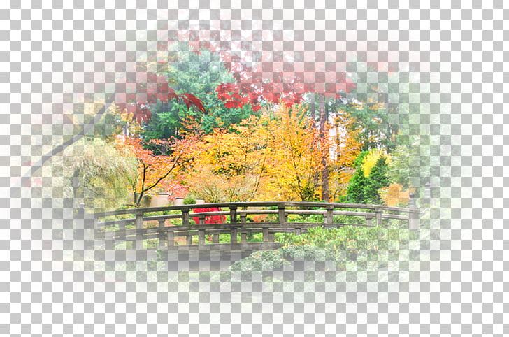 Fototapeta Wayside Gardens PNG, Clipart, Common Poppy, Computer Wallpaper, Desktop Wallpaper, Fotodeky, Fototapeta Free PNG Download