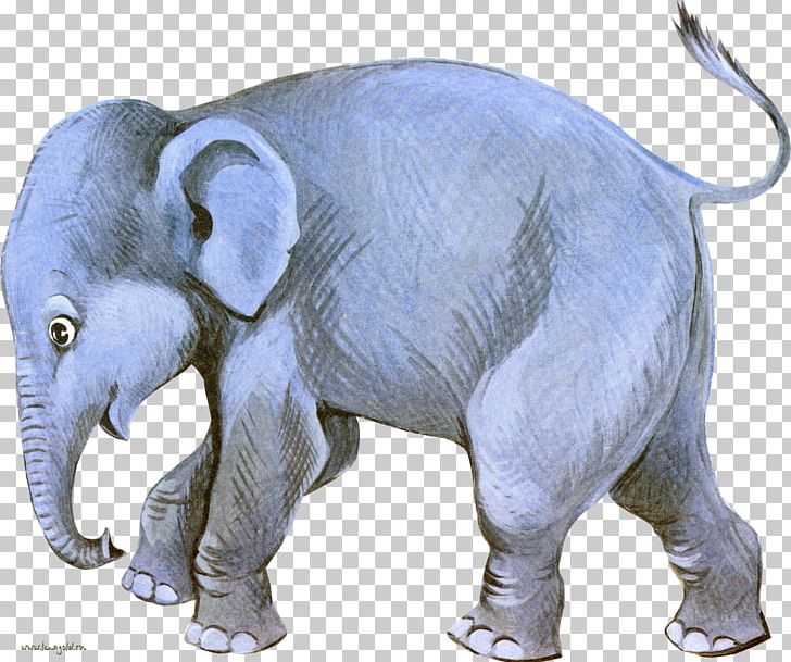 Indian Elephant African Elephant Dog PNG, Clipart, African Elephant, Animal, Animals, Fauna, Indian Elephant Free PNG Download
