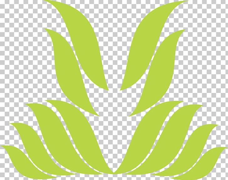 Leaf Symbol Petal Pattern PNG, Clipart, Decorative Arts, Flower, Flowering Plant, Grass, Green Free PNG Download