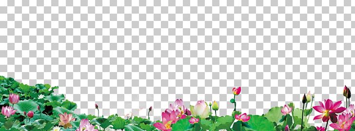 Lotus Floral Design Pink Flowers PNG, Clipart, Computer Wallpaper, Decorative Patterns, Design, Desktop Wallpaper, Flora Free PNG Download