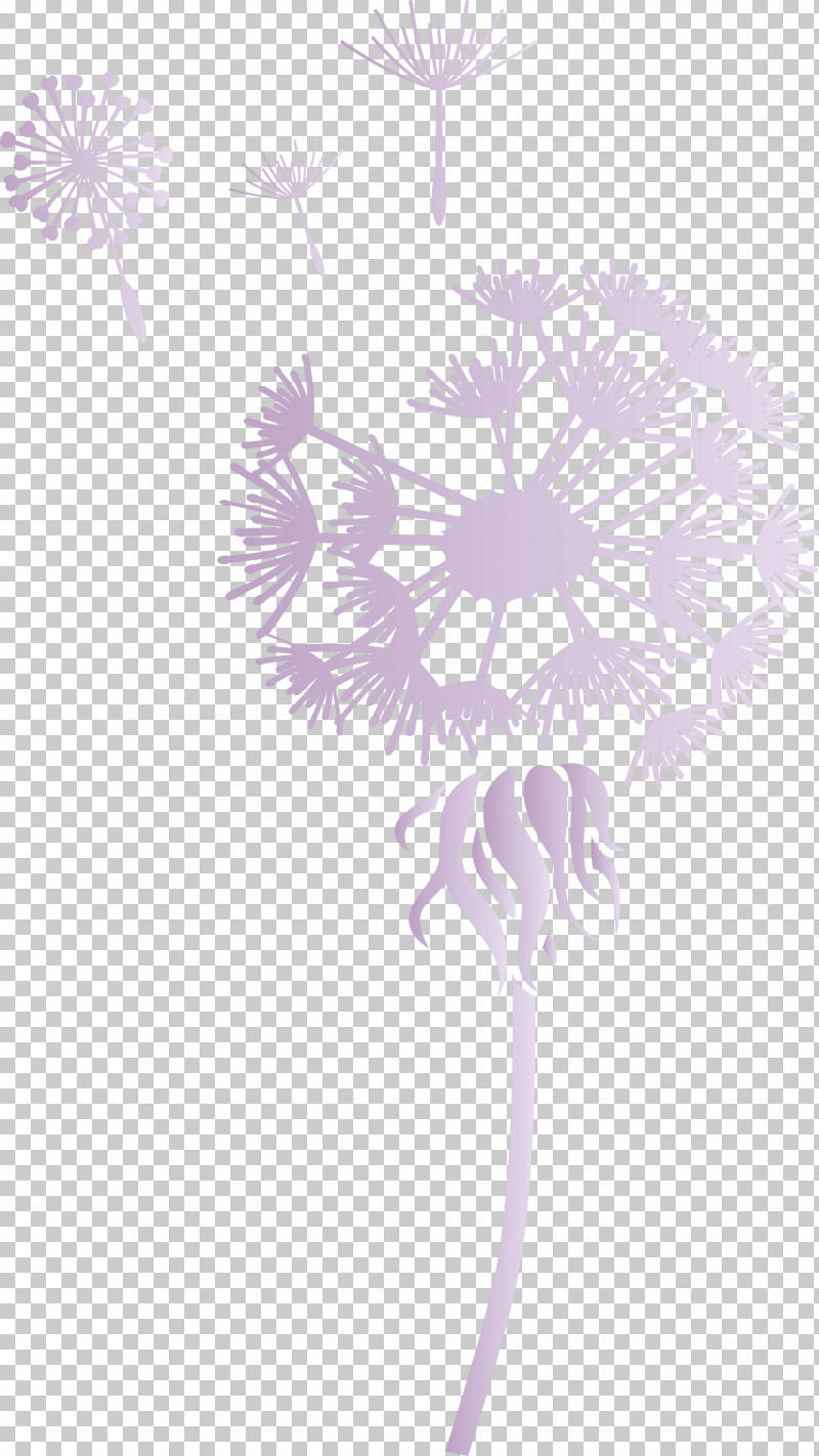 Dandelion PNG, Clipart, Chrysanthemum, Dandelion, Drawing, Flower, Line Art Free PNG Download