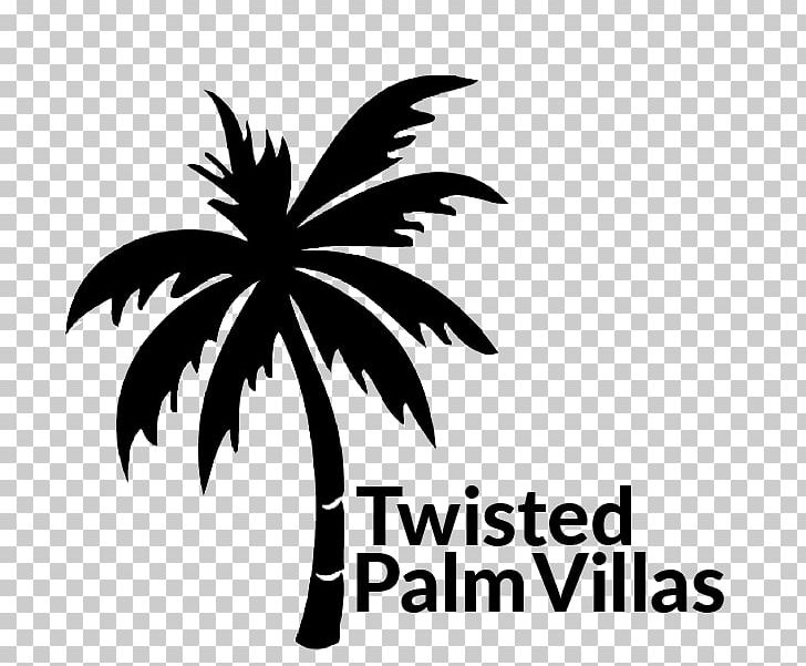 Arecaceae Sea Twisted Palm Villas Beach PNG, Clipart, About Us, Arecaceae, Arecales, Beach, Black Free PNG Download