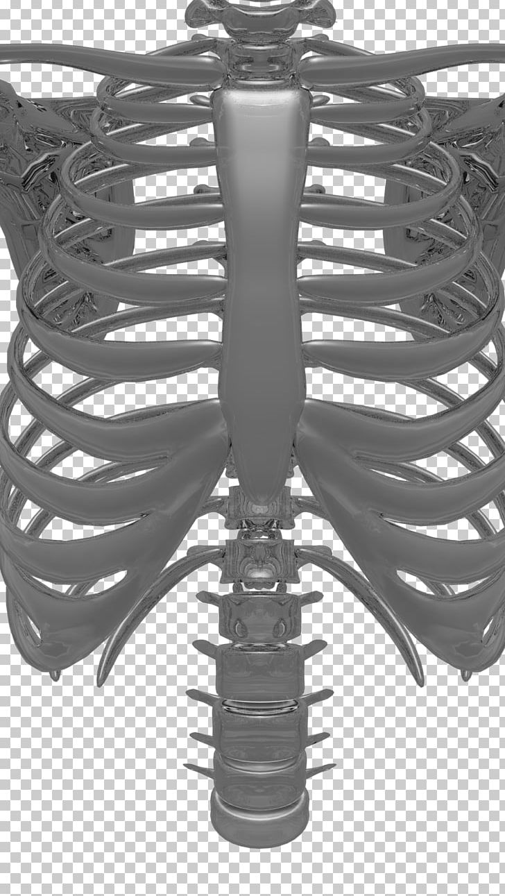Product Design Skeleton Black PNG, Clipart, Black, Black And White, Skeleton Free PNG Download