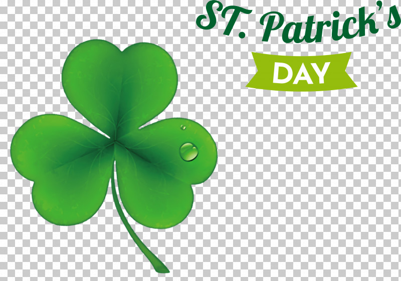 Shamrock PNG, Clipart, Biology, Country, Leaf, Meeting, Meter Free PNG Download