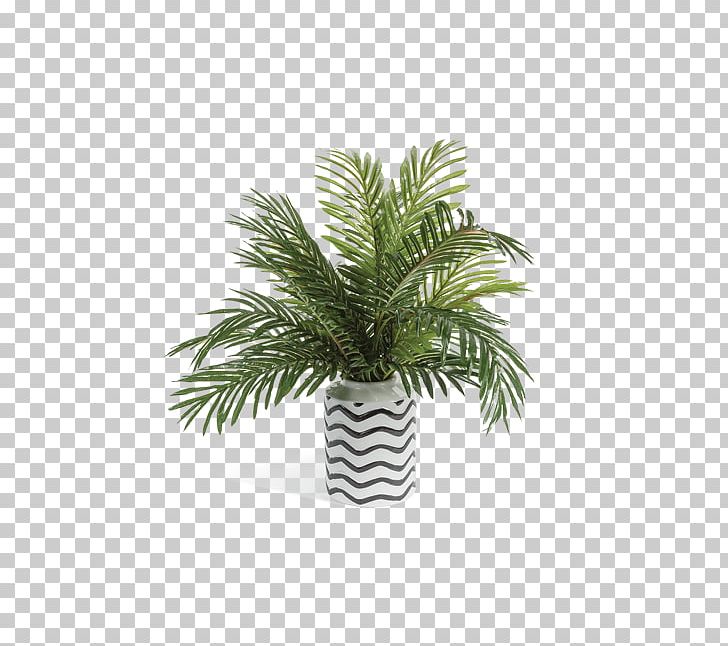Date Palm Vase Arecaceae Flowerpot Houseplant PNG, Clipart, Arecaceae, Arecales, Ceramic, Date Palm, Date Palms Free PNG Download