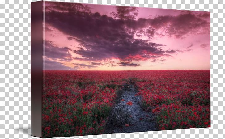Painting Frames Flower Sky Plc PNG, Clipart, Flower, Heat, Landscape, Painting, Picture Frame Free PNG Download