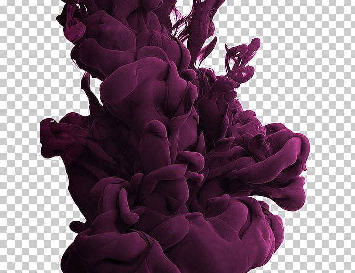Purple Smoke Haze PNG, Clipart, Adobe Illustrator, Blue, Color Smoke, Cut Flowers, Effect Free PNG Download
